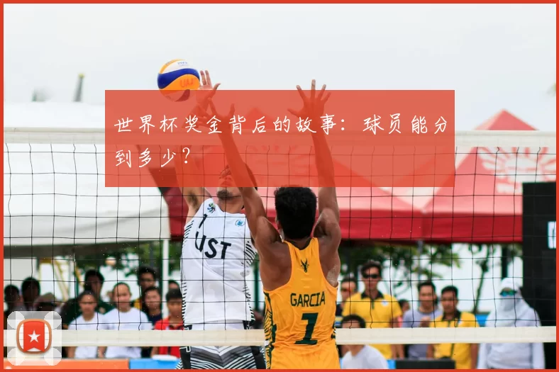 世界杯奖金背后的故事：球员能分到多少？
