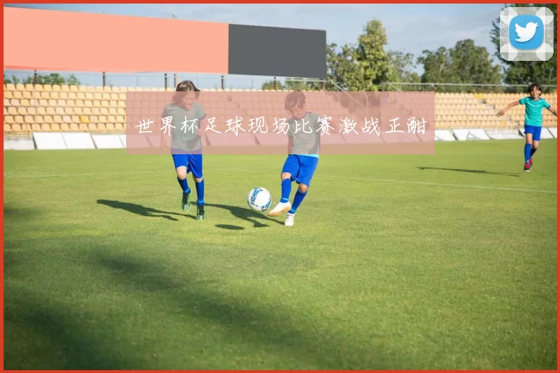 世界杯足球现场比赛激战正酣