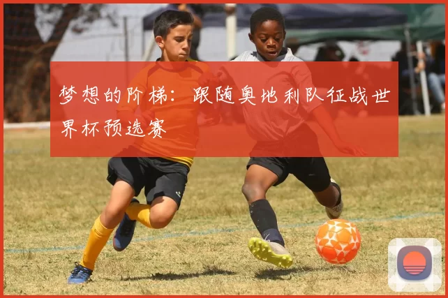 梦想的阶梯:跟随奥地利队征战世界杯预选赛