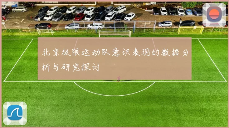 北京极限运动队意识表现的数据分析与研究探讨