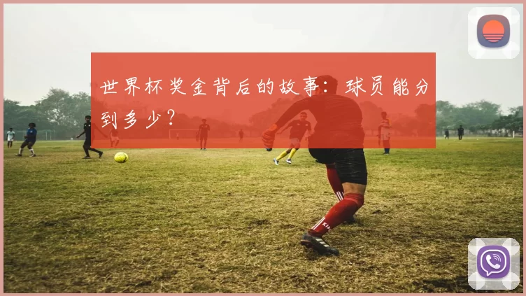 世界杯奖金背后的故事：球员能分到多少？