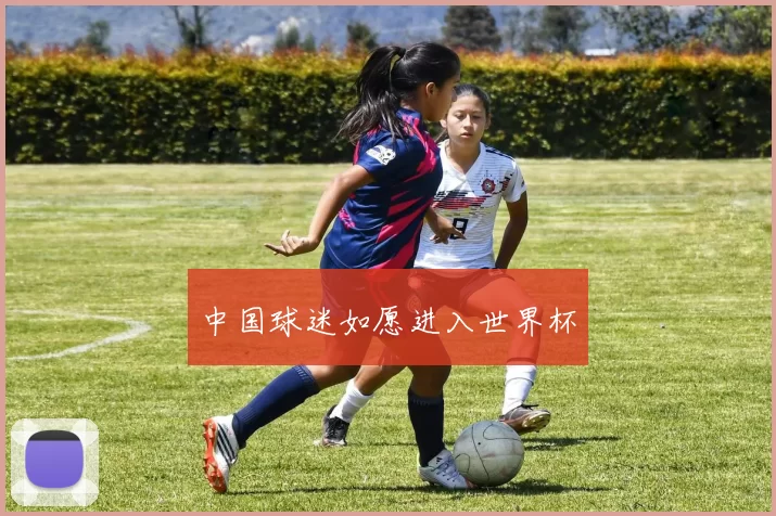 中国球迷如愿进入世界杯