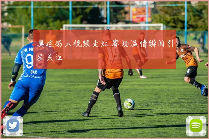 奥运感人视频走红 赛场温情瞬间引发关注