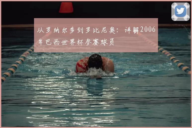 从罗纳尔多到罗比尼奥：详解2006年巴西世界杯参赛球员