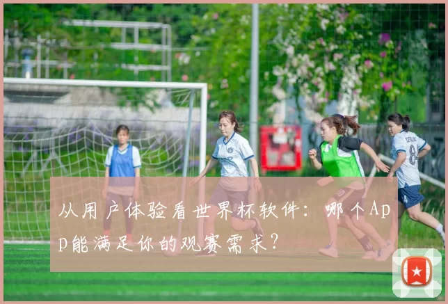 从用户体验看世界杯软件:哪个App能满足你的观赛需求?