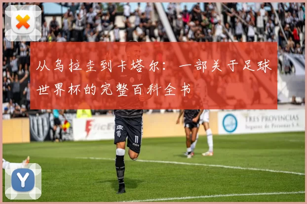 从乌拉圭到卡塔尔：一部关于足球世界杯的完整百科全书