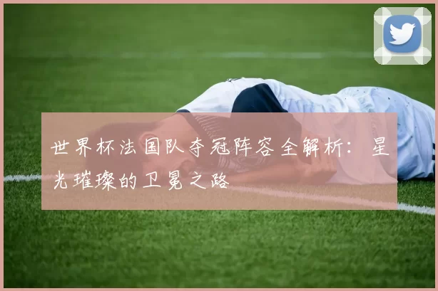 世界杯法国队夺冠阵容全解析：星光璀璨的卫冕之路