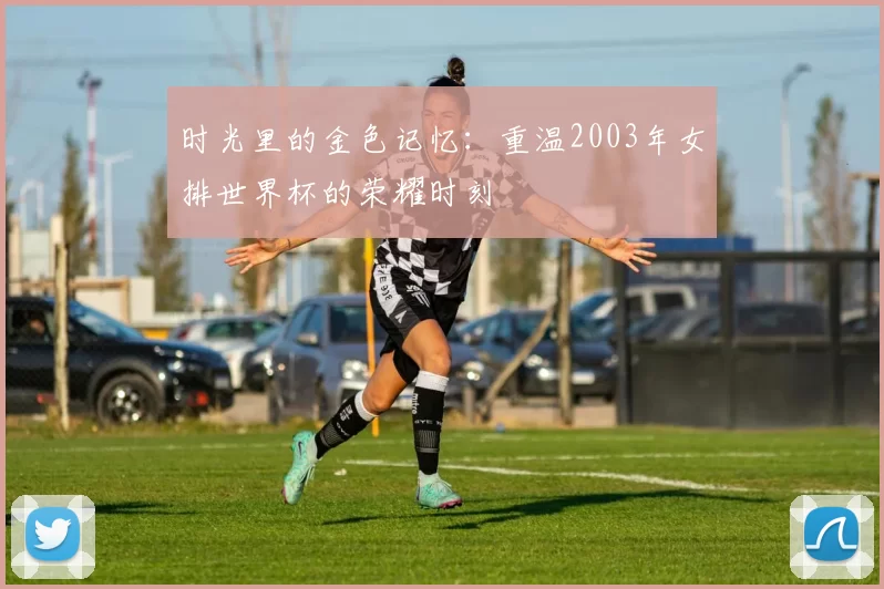 时光里的金色记忆：重温2003年女排世界杯的荣耀时刻