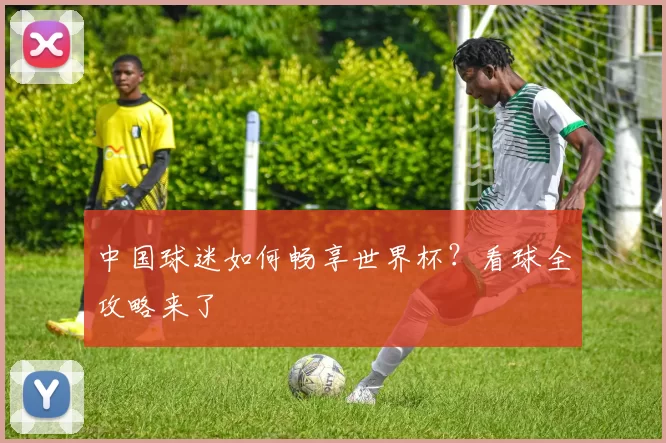 中国球迷如何畅享世界杯？看球全攻略来了