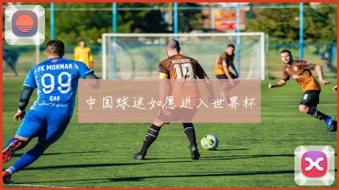 中国球迷如愿进入世界杯