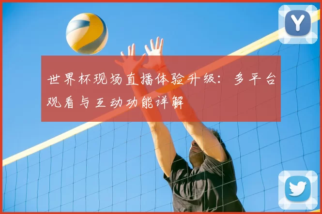 世界杯现场直播体验升级：多平台观看与互动功能详解
