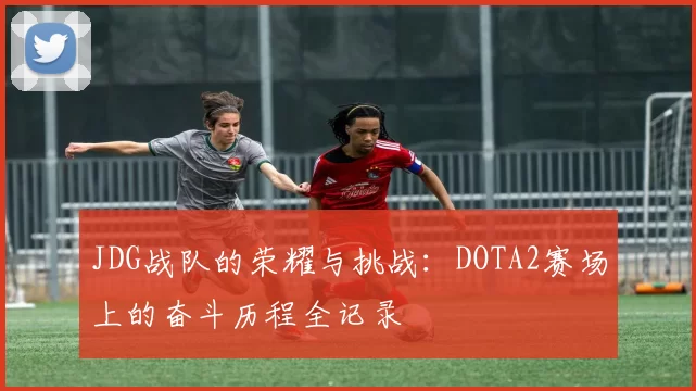 JDG战队的荣耀与挑战：DOTA2赛场上的奋斗历程全记录