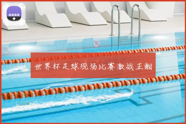 世界杯足球现场比赛激战正酣